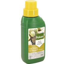 Pokon Cactus en vetplanten voeding in een fles van 250 ml