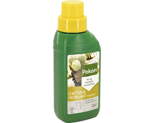 Pokon Cactus en vetplanten voeding in een fles van 250 ml