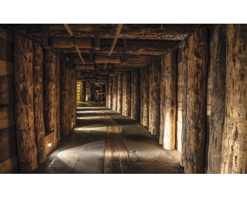 Fotobehang vlies Tunnel van hout 312x219 cm