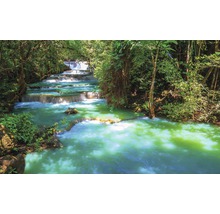 Cascadewaterval met groen water in het bos