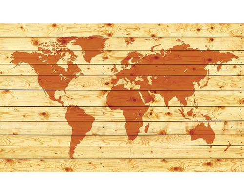 Fotobehang papier Wereldkaart met houtoptiek 254x184 cm