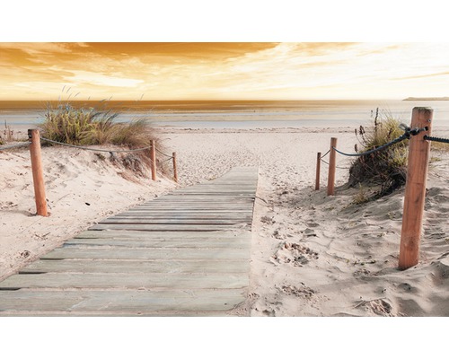 Fotobehang papier Steiger naar het strand 254x184 cm
