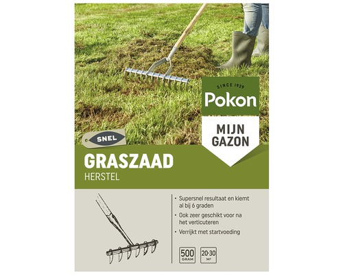 POKON Graszaad herstel Sport- en speelgras 500 gr 30 m2 Pokon Mijn Gazon graszaad voor gazonherstel met hark op gazon