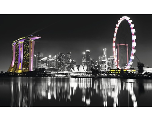 Fotobehang vlies Singapore skyline 312x219 cm