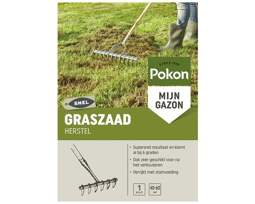 POKON Graszaad herstel Sport- en speelgras 1 kg 60 m2 Pokon Mijn Gazon graszaad voor gazonherstel met hark op gazonoppervlak