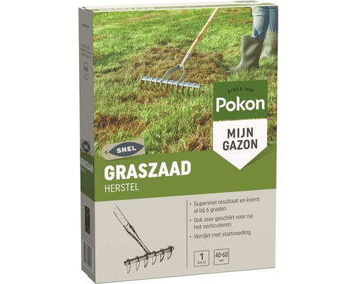 Pokon Mijn Gazon graszaad voor gazonherstel in kartonnen verpakking