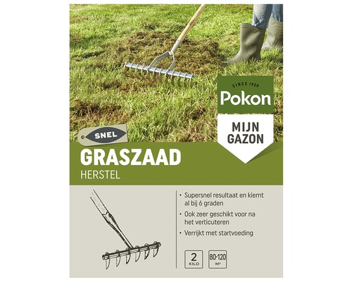 POKON Graszaad herstel Sport- en speelgras 2 kg 120 m2 Pokon graszaad voor gazonherstel met hark op gazon
