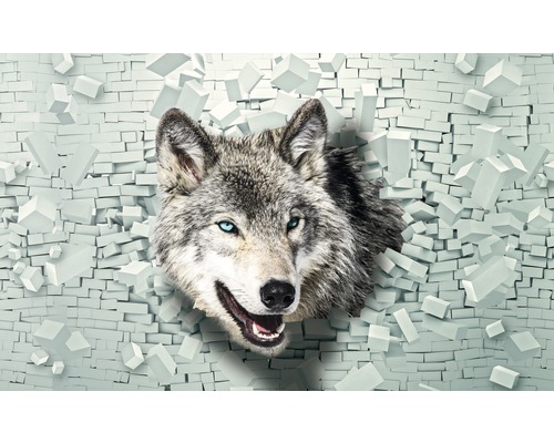 Fotobehang vlies 3D Wolf 312x219 cm