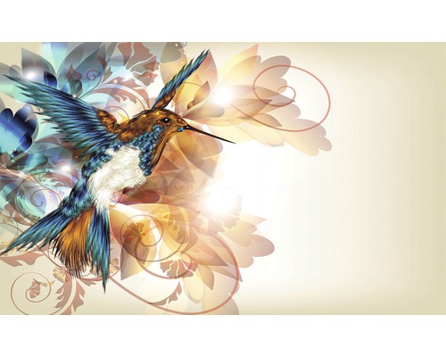 Fotobehang vlies Ornament kolibri 312x219 cm