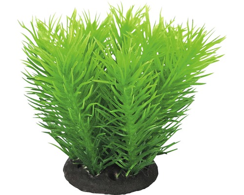 ORBIT Waterplant kunststof DeLuxe S groen nr. 1