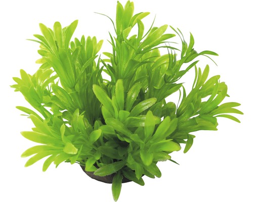 ORBIT Waterplant kunststof DeLuxe S groen nr. 16
