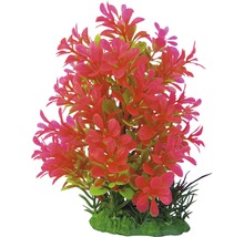 Decoratieve aquariumplant met bladeren