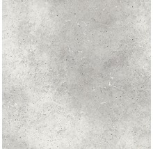 Wand- en vloertegel Capra lichtgrijs 24,5x24,5 cm