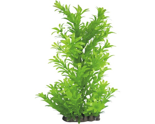 ORBIT Waterplant kunststof DeLuxe M groen nr. 16