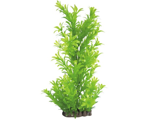 ORBIT Waterplant kunststof DeLuxe XL groen nr. 16