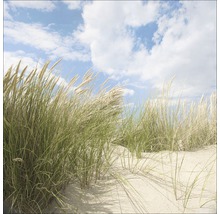 Duingras op het strand onder een blauwe hemel met wolken
