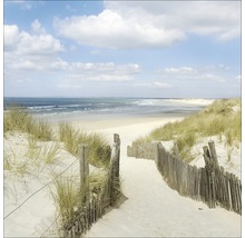 Duinlandschap met houten hek en uitzicht op de zee