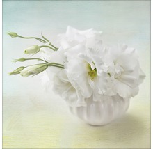 Witte bloemen in een vaas