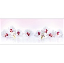 Arrangement van orchideeënbloemen