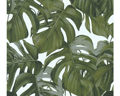 A.S. CRÉATION Vliesbehang 36519-3 Michalsky 3 monsterablad groen Behang met Monstera bladmotief