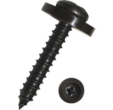 Lenskop schroef met flens en torx aandrijving