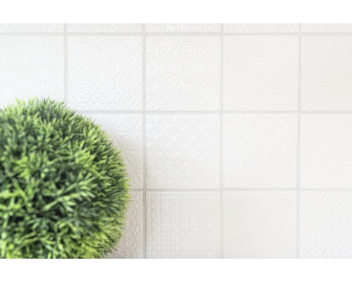 Lichte tegels met patroon en potplant