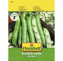 FLORASELF® Tuinbonen drievoudig wit groentezaden-thumb-0