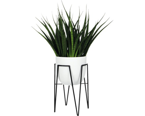 Kamerplant in witte pot op een zwart metalen frame