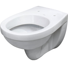 Hangend toilet Delfi excl. wc-bril-thumb-0