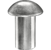 Een enkele metalen klinknagel