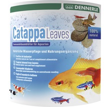 DENNERLE Catappa Leaves 10 st-thumb-0