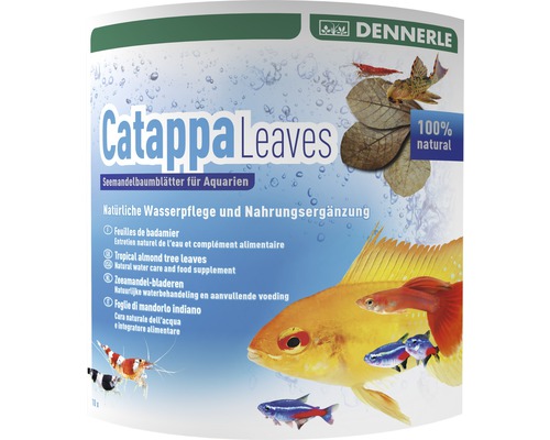 DENNERLE Catappa Leaves 10 st