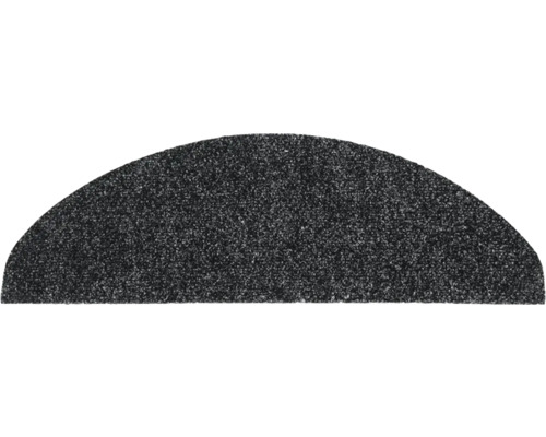 Trapmat Paris antraciet 25x65 cm Halve cirkel deurmat voor binnengebruik