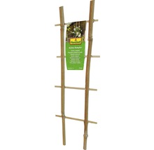 FloraSelf Klimrek planten bamboe 35 cm