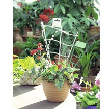 FloraSelf Klimrek planten bloemenrooster groen 30 cm