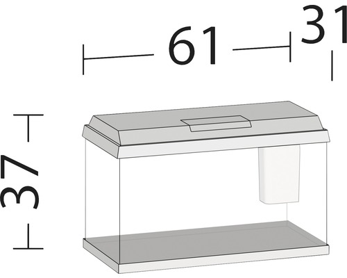 Afbeelding van een aquarium met afmetingen: 61 centimeter lang, 37 centimeter hoog, 31 centimeter diep