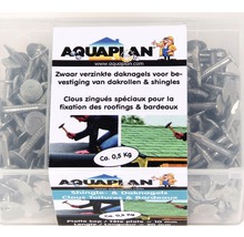 Daknagels in een transparante doos voor het bevestigen van dakrollen en shingles