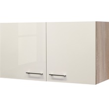 Keukenkast met twee deuren en handgrepen