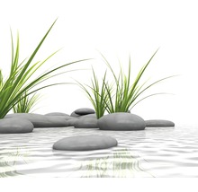 Decoratieve stenen en grassen in waterweergave