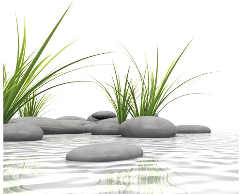 Decoratieve stenen en grassen in waterweergave