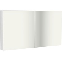 Spiegelkast met twee deuren voor de badkamer