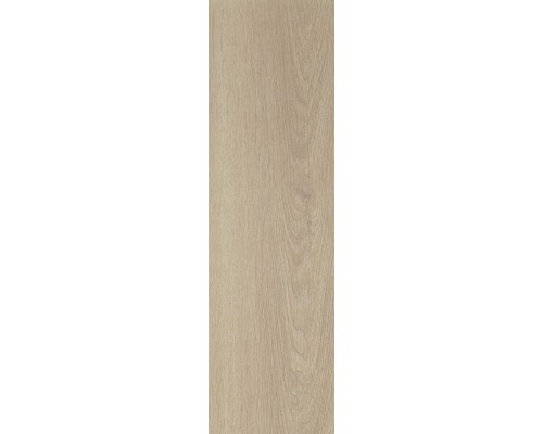 Wand- en Vloertegel ash natural 17,8x62,8 cm