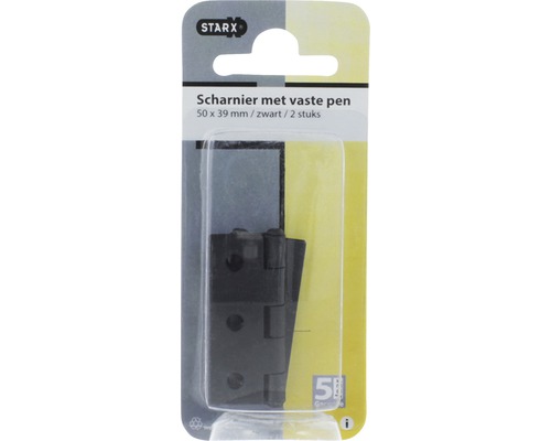 Starx scharnier met vaste pen, 50 x 39 millimeter, 2 stuks