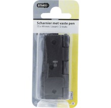 STARX Scharnier smal ongelagerd 75x49 mm rechte hoek zwart, 2 stuks