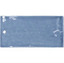 Individuele blauwe tegel