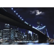 Uitzicht op de Brooklyn Bridge ''s nachts met stadsgezicht en maan