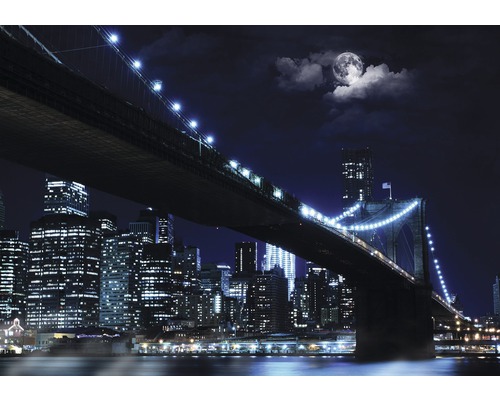 Fotobehang papier Brooklyn Bridge 254x184 cm