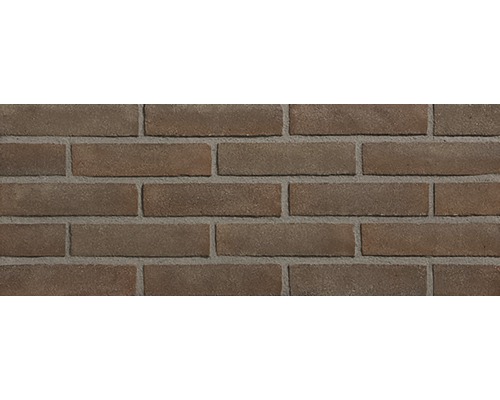 Gevelsteen waalformaat vormbak bruin 061-5 (lxbxd) 206x97x49 mm