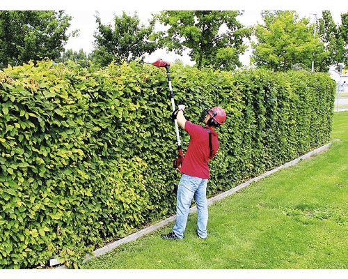 Man snoeit heg met een heggenschaar.
