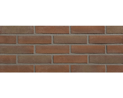 Gevelsteen waalformaat vormbak rood 017-5 (lxbxd) 205x97x49 mm